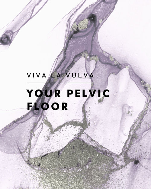 Viva La Vulva: Pelvic Floor Health During Childbirth and Postpartum Recovery
