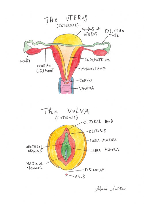 The Benefits of Pelvic Floor Mapping with Veronica Rottman